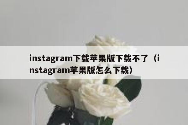 instagram下载苹果版下载不了（instagram苹果版怎么下载） 第1张