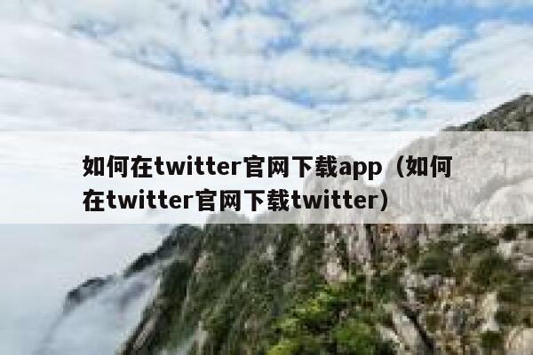 如何在twitter官网下载app（如何在twitter官网下载twitter） 第1张