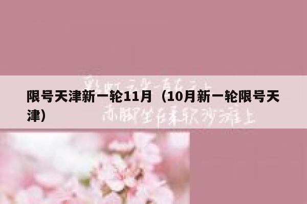限号天津新一轮11月（10月新一轮限号天津） 第1张