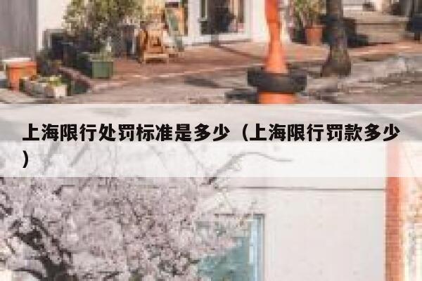 上海限行处罚标准是多少（上海限行罚款多少） 第1张