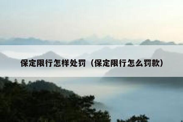 保定限行怎样处罚（保定限行怎么罚款） 第1张