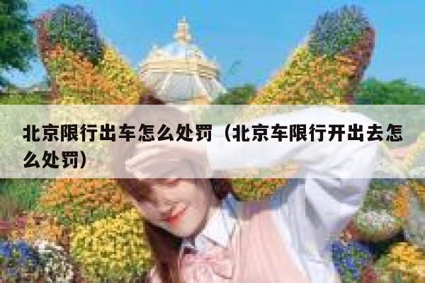 北京限行出车怎么处罚（北京车限行开出去怎么处罚） 第1张