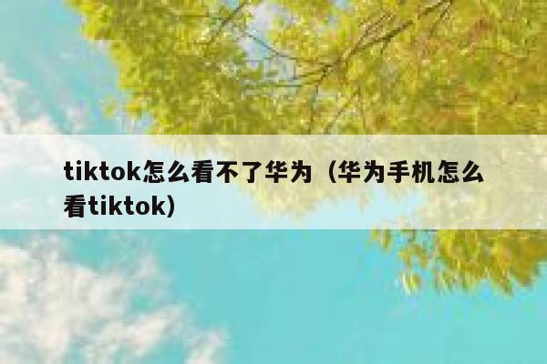 tiktok怎么看不了华为（华为手机怎么看tiktok） 第1张