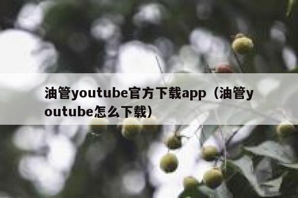 油管youtube官方下载app（油管youtube怎么下载） 第1张