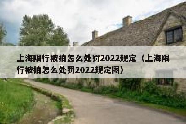 上海限行被拍怎么处罚2022规定(上海限行被拍怎么处罚2022规定图) 第1张 上海限行被拍怎么处罚2022规定(上海限行被拍怎么处罚2022规定图) 第1张