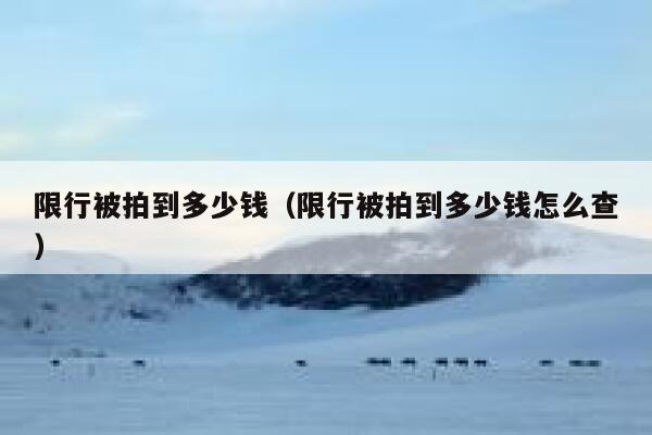 限行被拍到多少钱(限行被拍到多少钱怎么查) 第1张 限行被拍到多少钱(限行被拍到多少钱怎么查) 第1张