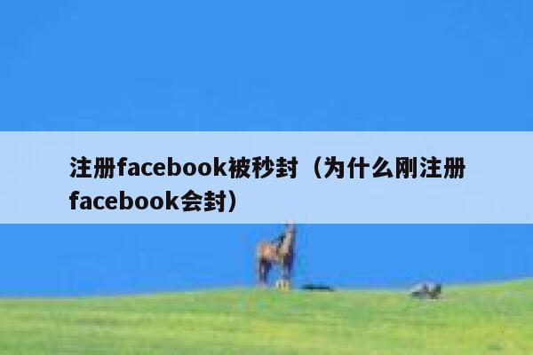 注册facebook被秒封（为什么刚注册facebook会封） 第1张