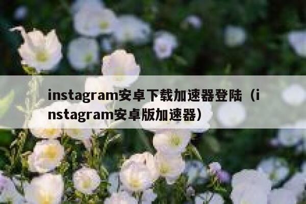 instagram安卓下载加速器登陆（instagram安卓版加速器） 第1张