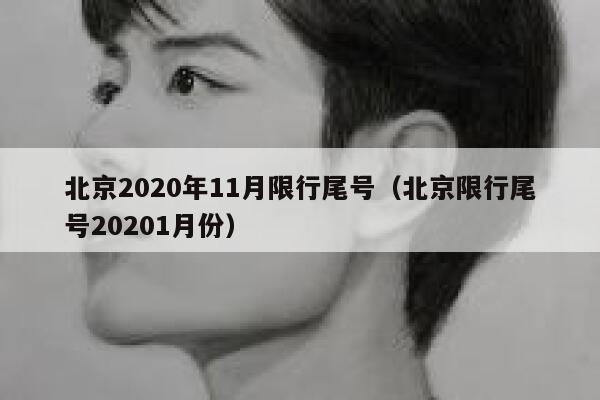 北京2020年11月限行尾号（北京限行尾号20201月份） 第1张