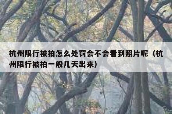 杭州限行被拍怎么处罚会不会看到照片呢（杭州限行被拍一般几天出来） 第1张