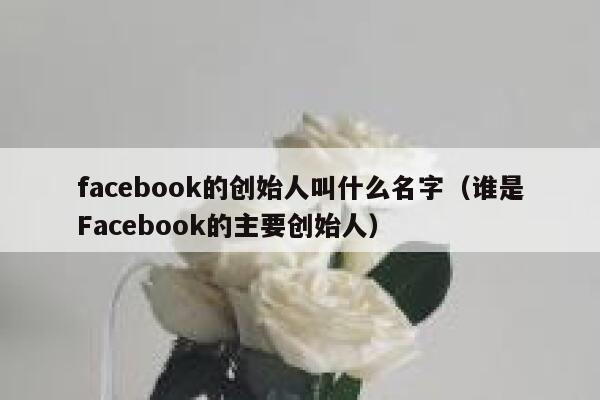 facebook的创始人叫什么名字（谁是Facebook的主要创始人） 第1张
