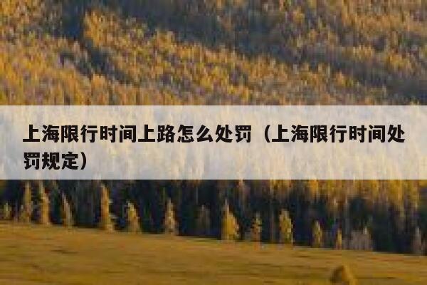 上海限行时间上路怎么处罚（上海限行时间处罚规定） 第1张