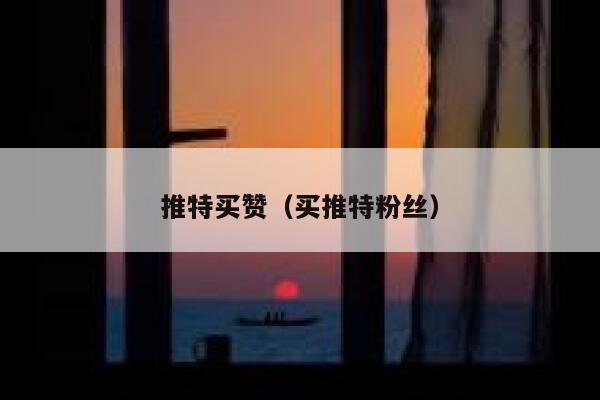 推特买赞（买推特粉丝） 第1张