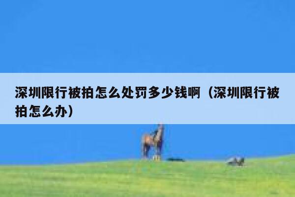 深圳限行被拍怎么处罚多少钱啊（深圳限行被拍怎么办） 第1张
