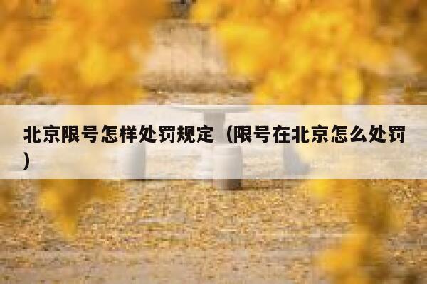北京限号怎样处罚规定（限号在北京怎么处罚） 第1张