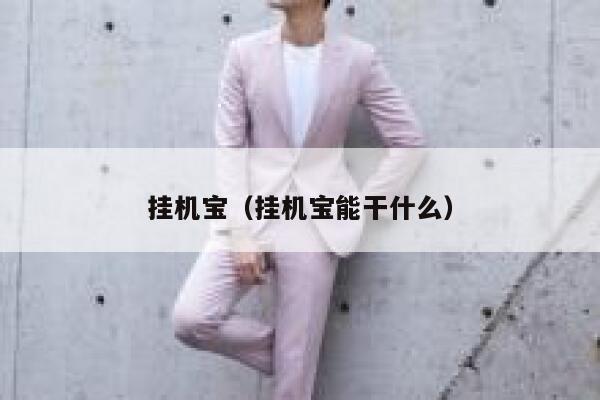 挂机宝（挂机宝能干什么） 第1张