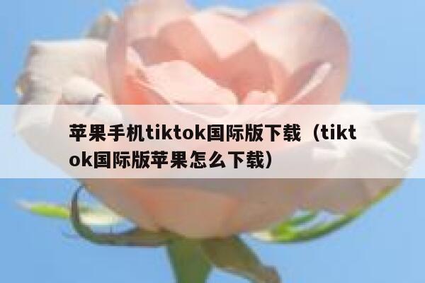 苹果手机tiktok国际版下载（tiktok国际版苹果怎么下载） 第1张