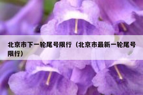 北京市下一轮尾号限行(北京市最新一轮尾号限行) 第1张 北京市下一轮尾号限行(北京市最新一轮尾号限行) 第1张