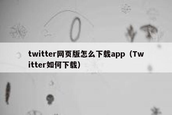 twitter网页版怎么下载app(Twitter如何下载) 第1张 twitter网页版怎么下载app(Twitter如何下载) 第1张