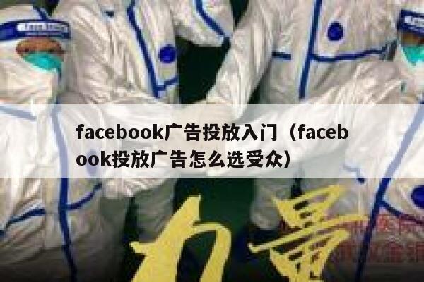facebook广告投放入门（facebook投放广告怎么选受众） 第1张