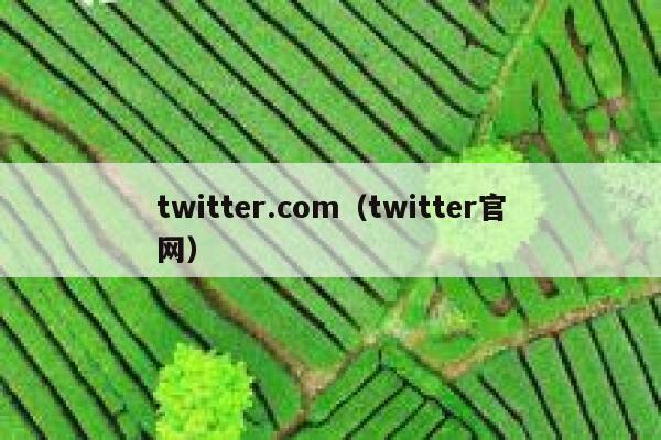 twitter.com（twitter官网） 第1张