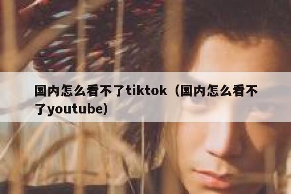 国内怎么看不了tiktok（国内怎么看不了youtube） 第1张