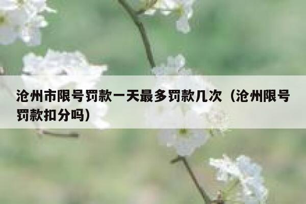 沧州市限号罚款一天最多罚款几次（沧州限号罚款扣分吗） 第1张