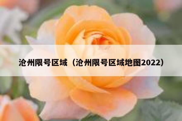 沧州限号区域（沧州限号区域地图2022） 第1张