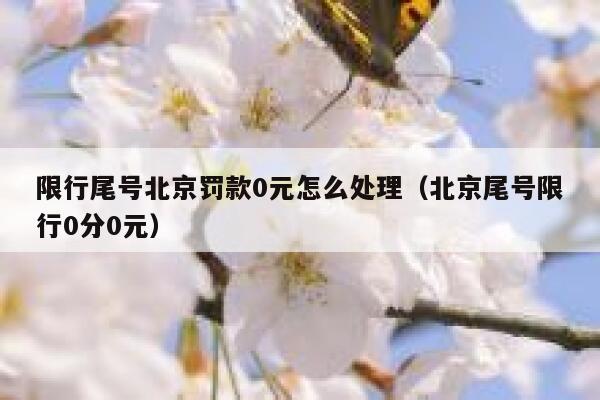 限行尾号北京罚款0元怎么处理（北京尾号限行0分0元） 第1张