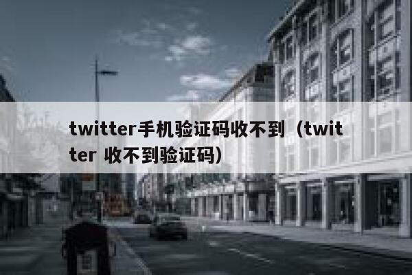 twitter手机验证码收不到（twitter 收不到验证码） 第1张