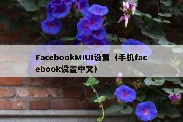 FacebookMIUI设置（手机facebook设置中文） 第1张