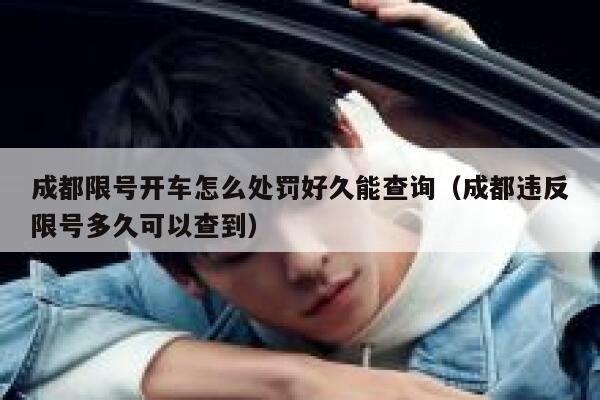 成都限号开车怎么处罚好久能查询（成都违反限号多久可以查到） 第1张