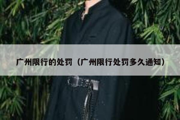 广州限行的处罚(广州限行处罚多久通知) 第1张 广州限行的处罚(广州限行处罚多久通知) 第1张