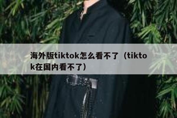 海外版tiktok怎么看不了（tiktok在国内看不了） 第1张