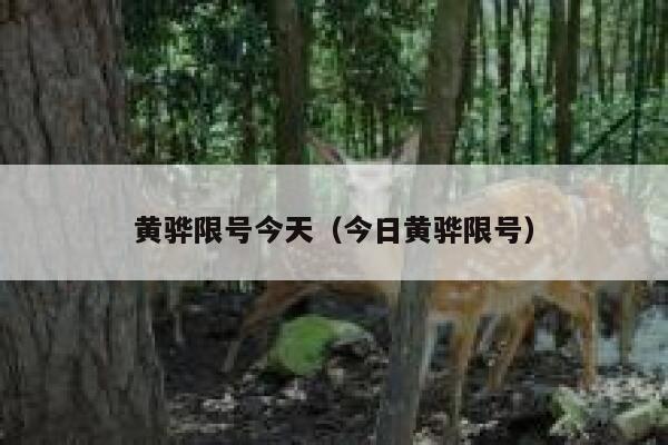 黄骅限号今天(今日黄骅限号) 第1张 黄骅限号今天(今日黄骅限号) 第1张