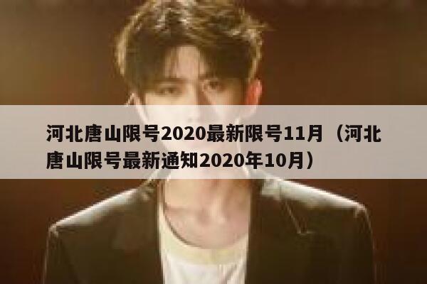 河北唐山限号2020最新限号11月（河北唐山限号最新通知2020年10月） 第1张