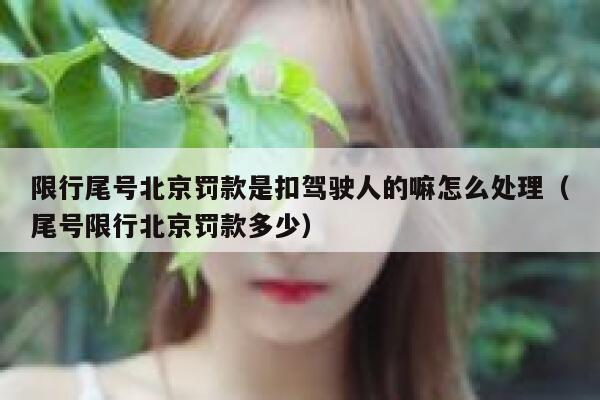 限行尾号北京罚款是扣驾驶人的嘛怎么处理（尾号限行北京罚款多少） 第1张