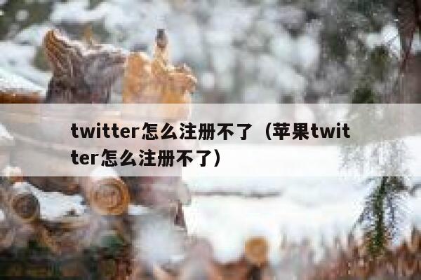 twitter怎么注册不了(苹果twitter怎么注册不了) 第1张 twitter怎么注册不了(苹果twitter怎么注册不了) 第1张
