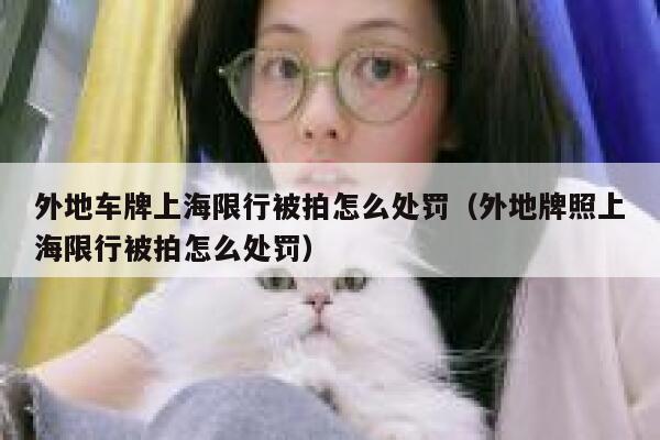 外地车牌上海限行被拍怎么处罚（外地牌照上海限行被拍怎么处罚） 第1张
