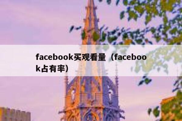 facebook买观看量（facebook占有率） 第1张