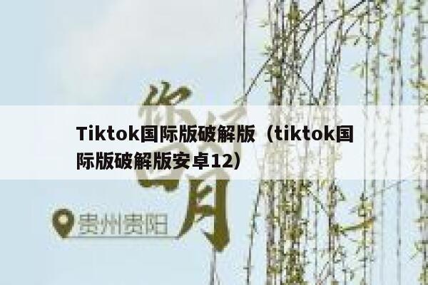 Tiktok国际版破解版（tiktok国际版破解版安卓12） 第1张