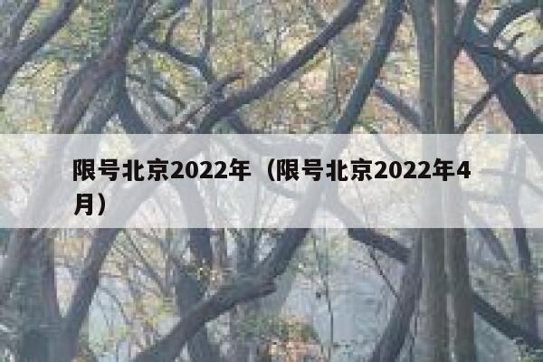 限号北京2022年（限号北京2022年4月） 第1张