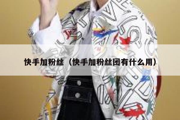 快手加粉丝（快手加粉丝团有什么用） 第1张