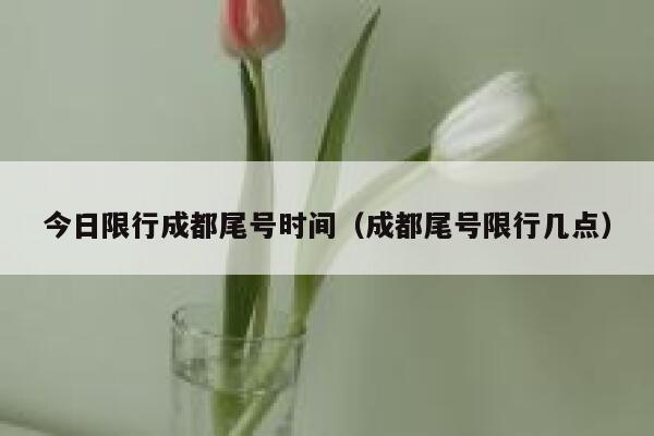 今日限行成都尾号时间（成都尾号限行几点） 第1张