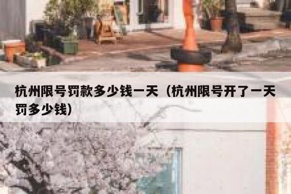 杭州限号罚款多少钱一天（杭州限号开了一天罚多少钱） 第1张