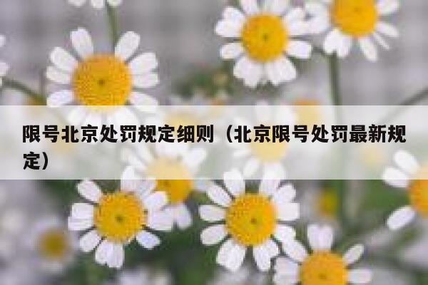 限号北京处罚规定细则（北京限号处罚最新规定） 第1张