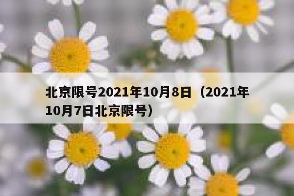 北京限号2021年10月8日(2021年10月7日北京限号) 第1张 北京限号2021年10月8日(2021年10月7日北京限号) 第1张