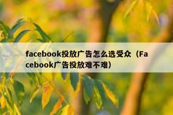 facebook投放广告怎么选受众(Facebook广告投放难不难) 第1张 facebook投放广告怎么选受众(Facebook广告投放难不难) 第1张