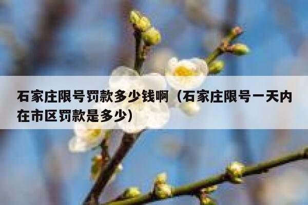 石家庄限号罚款多少钱啊（石家庄限号一天内在市区罚款是多少） 第1张