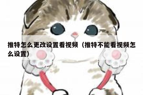 推特怎么更改设置看视频（推特不能看视频怎么设置） 第1张